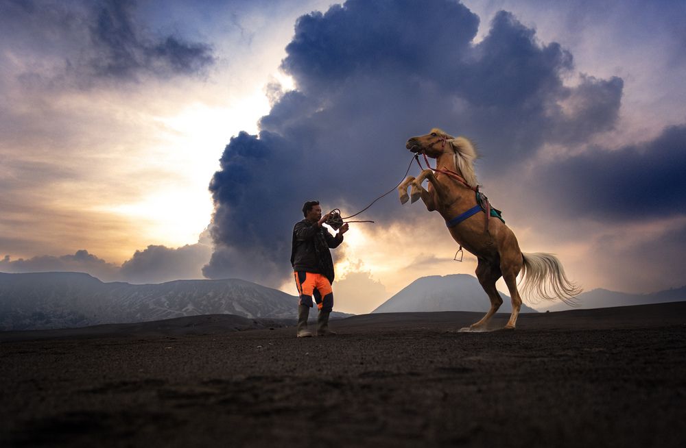 Фотография автора Ritwik Ray