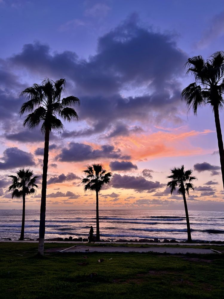 Photograph by Шестакова Наталья