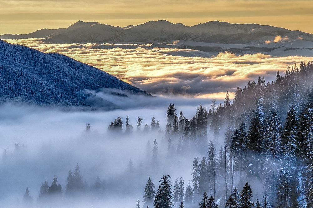 Фотография автора Cristian Resiga