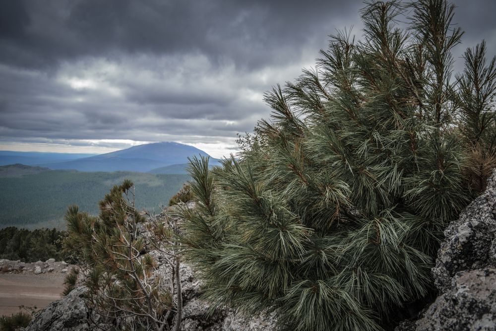 Photograph by Андрей Городецкий