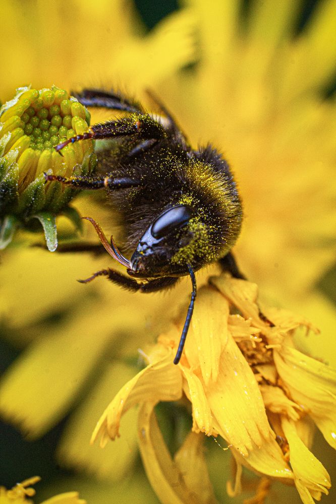 Photograph by Дарья Улюсова