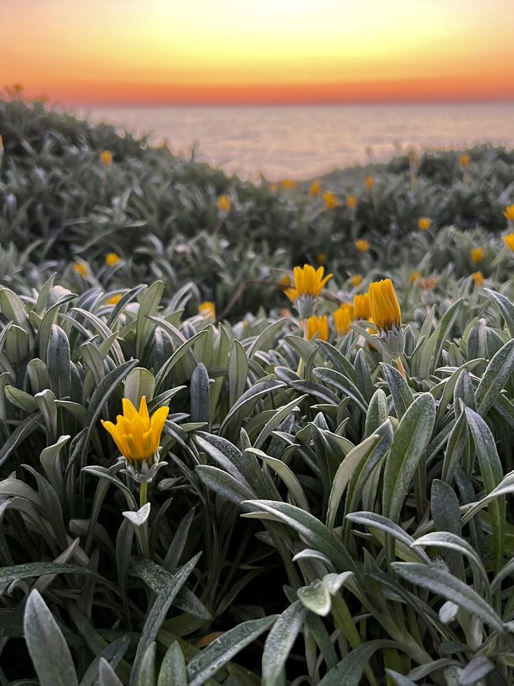 Photograph by Шестакова Наталья