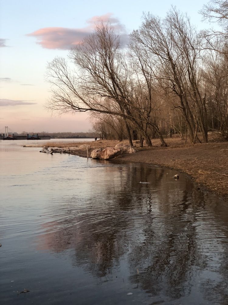 Фотография автора Светлана Гончарова