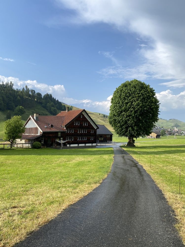 Photograph by Наталья Посашко