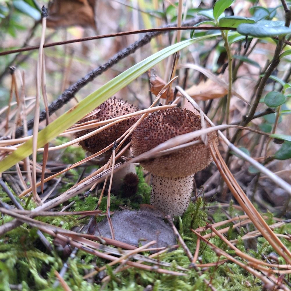 Photograph by Анна