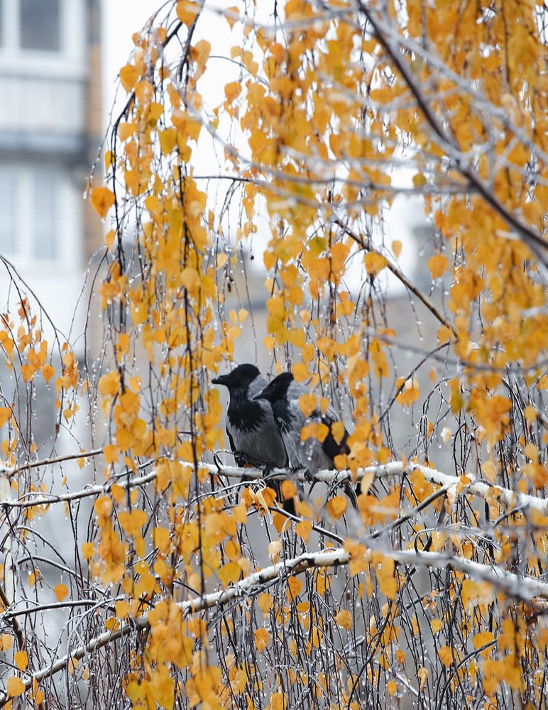 Photograph by Наталья