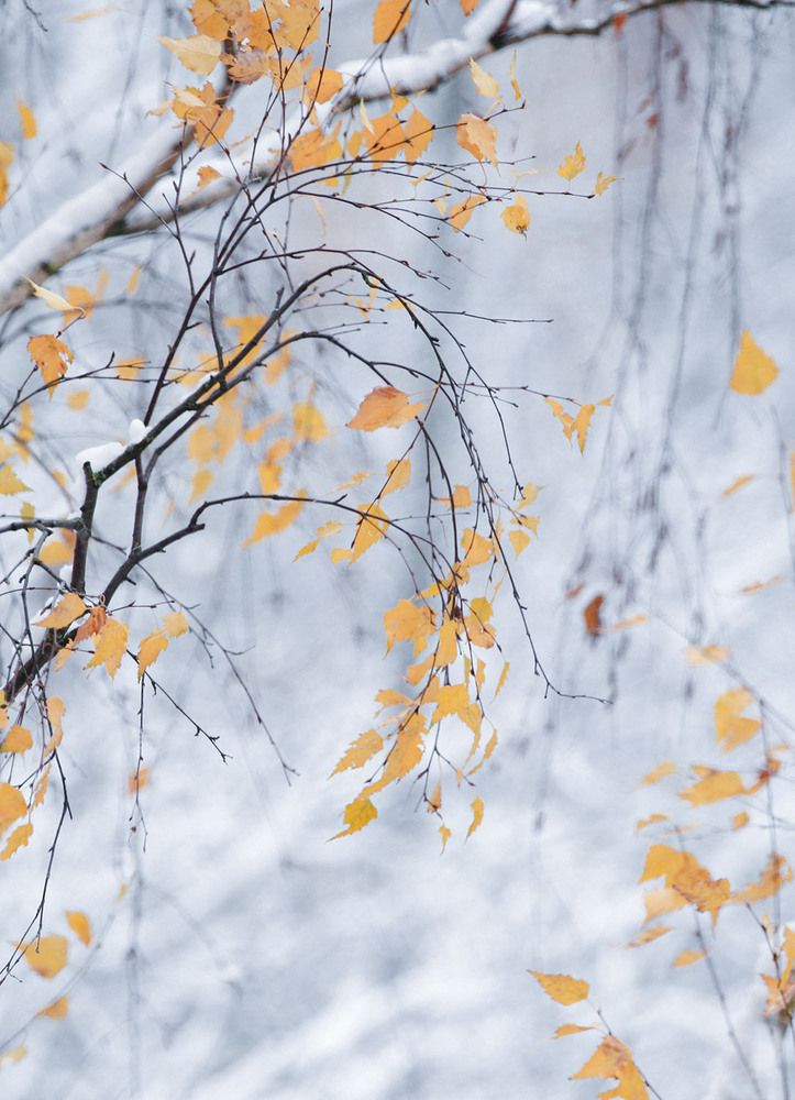 Photograph by Наталья