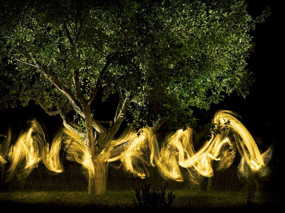 Photograph by Сергей Вальков