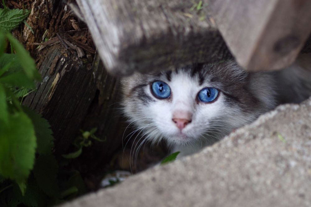 Photograph by Мария Бартош