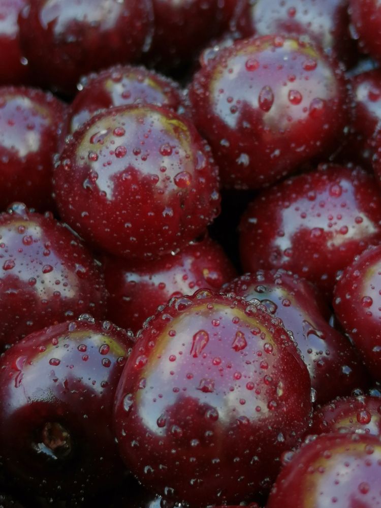 Photograph by Елена