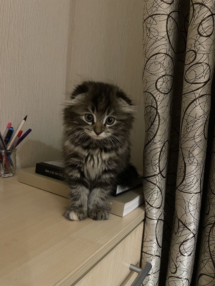 Photograph by Татьяна Чиханова