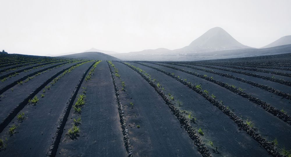 Photograph by Александр Белогаев