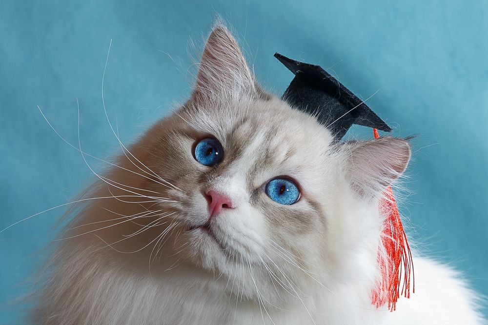 Photograph by Людмила Бандурина