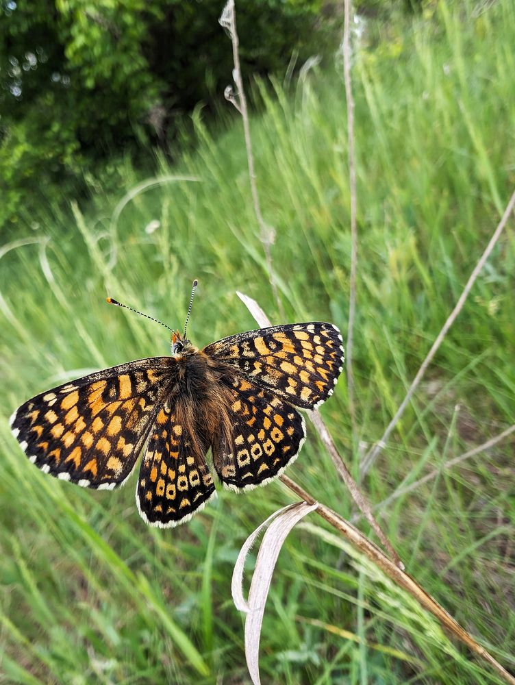 Фотография автора Владимир Хакимов