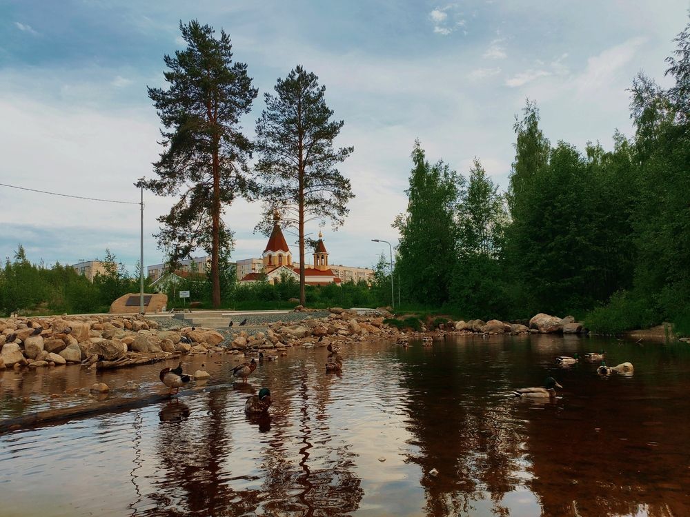 Фотография автора Елена Кузьмичева