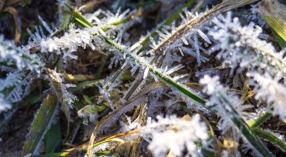 Photograph by Александр Мельниченко