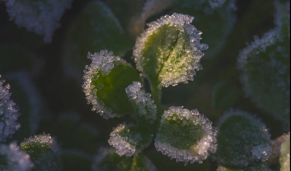 Photograph by Александр Мельниченко