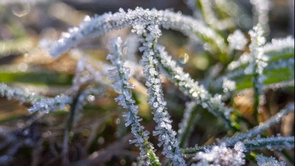 Photograph by Александр Мельниченко