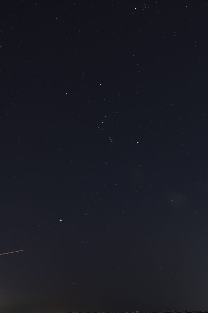 Фотография автора Мария Гомолко