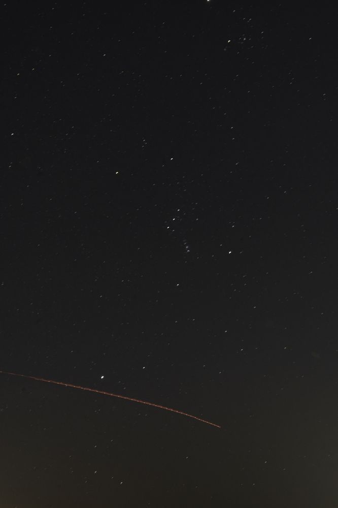 Фотография автора Мария Гомолко