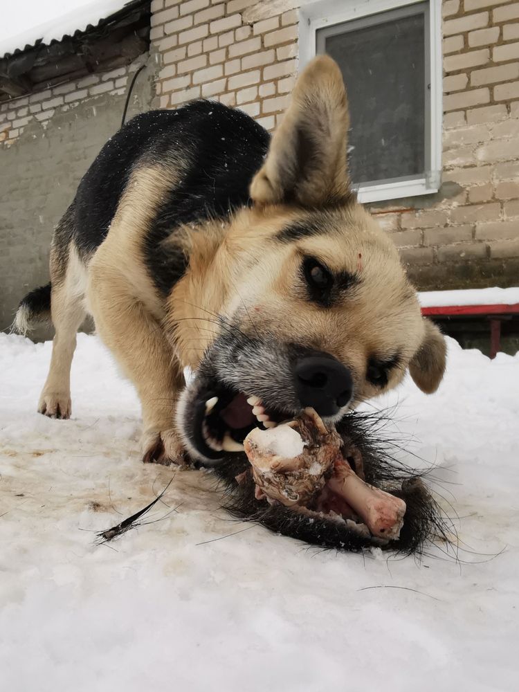 Photograph by Мария Бартош