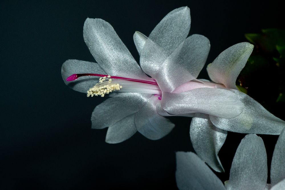 Фотография автора Владимир Хакимов