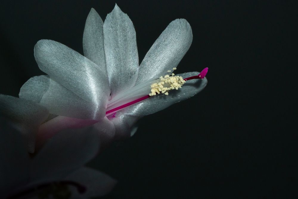 Фотография автора Владимир Хакимов