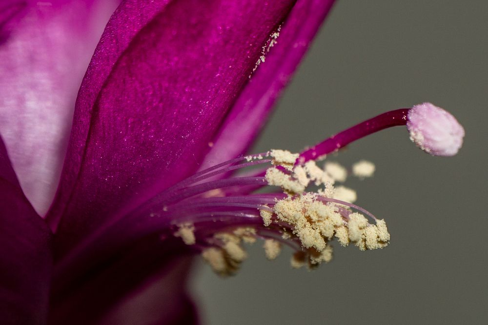 Фотография автора Владимир Хакимов