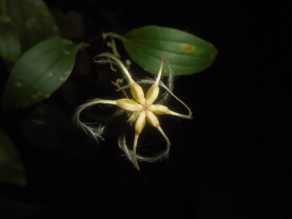 Photograph by Лилия Исхакова