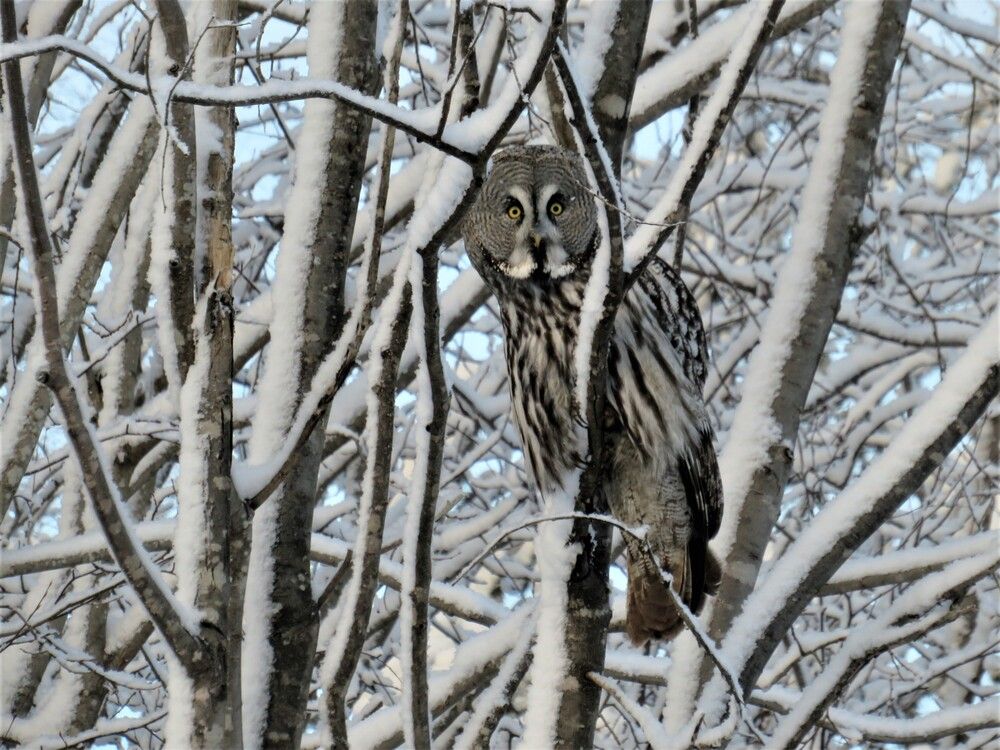 Photograph by Людмила Кононова