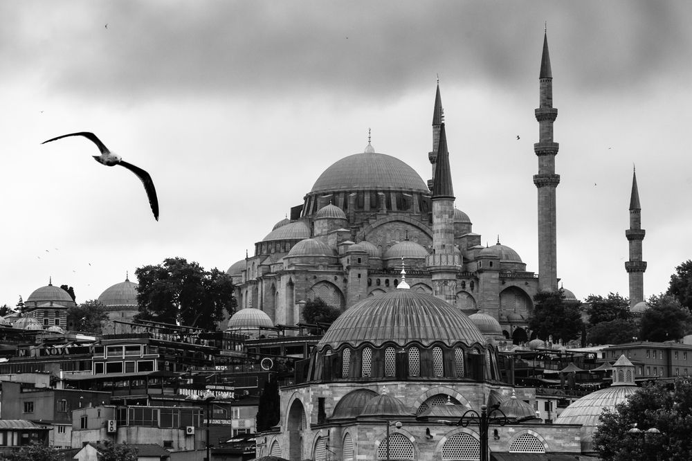 Photograph by shabu joseph