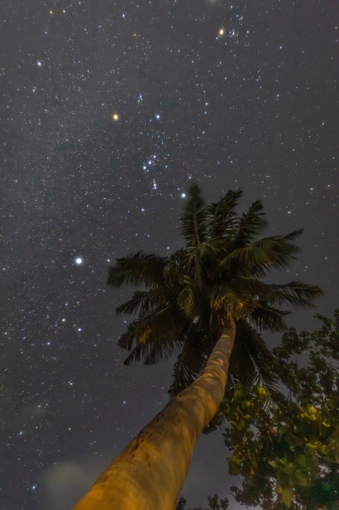 Photograph by Игорь Семеновский