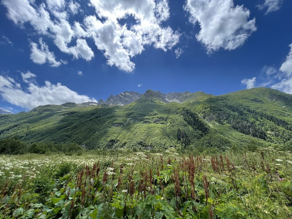 Photograph by Андрей Усачев