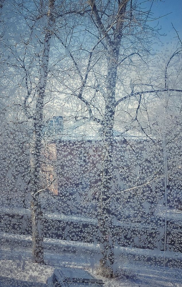 Photograph by Ольга Мартьянова