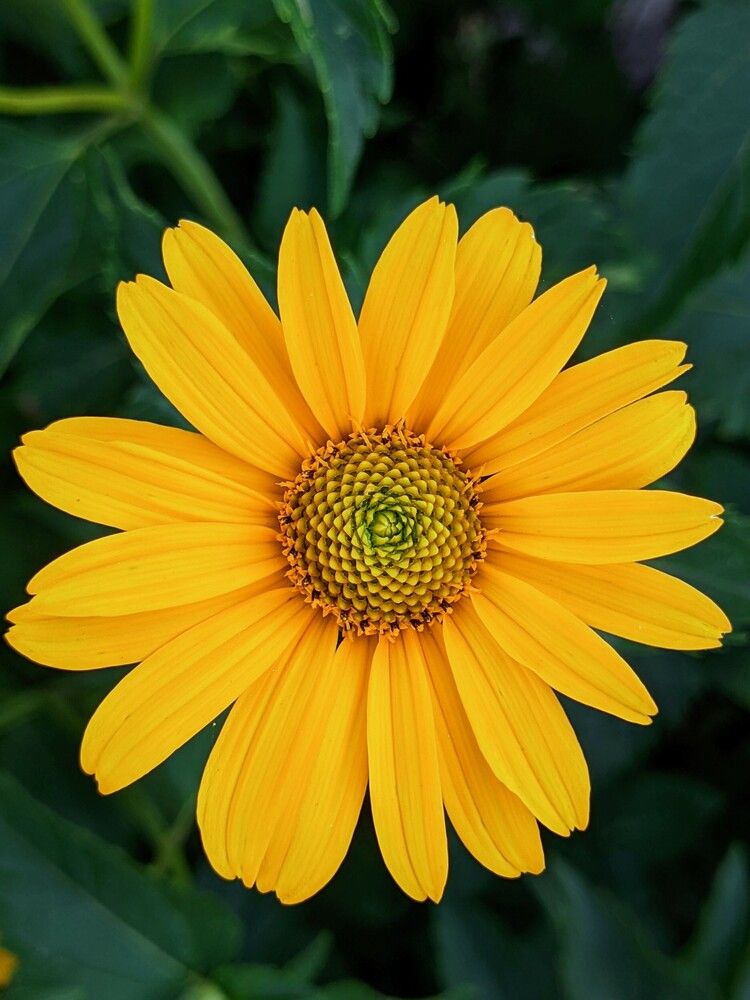 Photograph by Nikolay