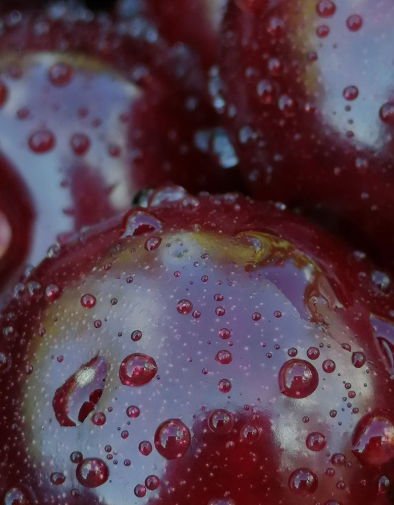 Photograph by Елена