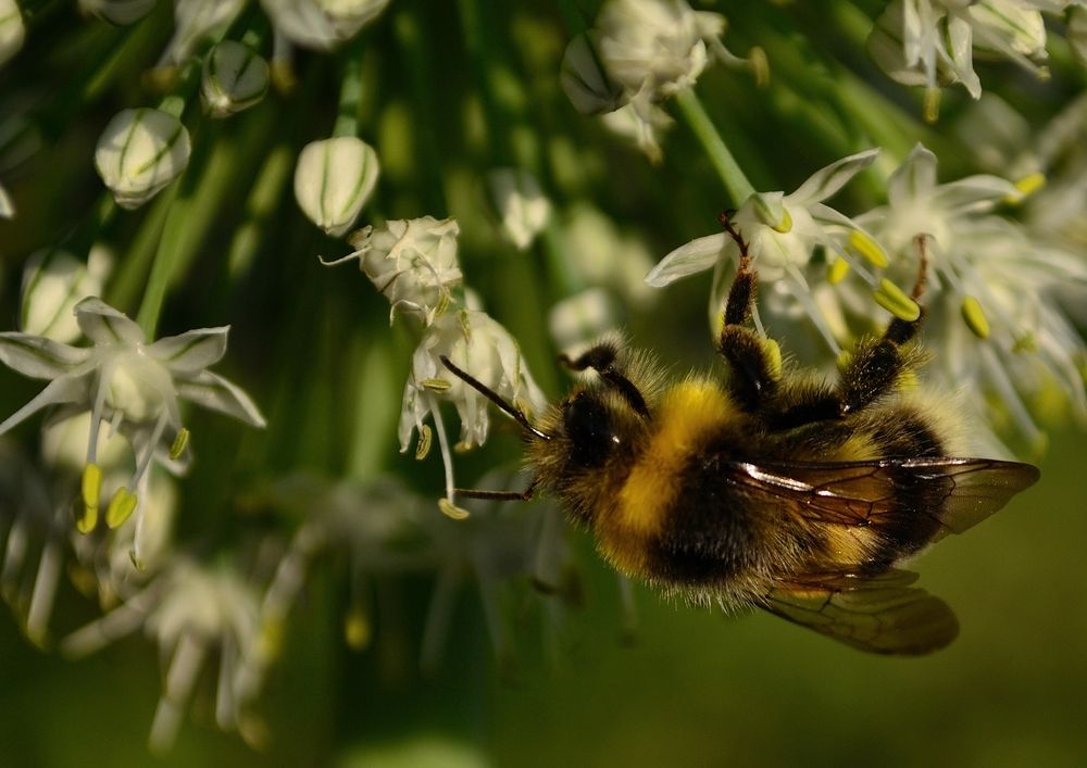 Photograph by Татьяна Чумакова