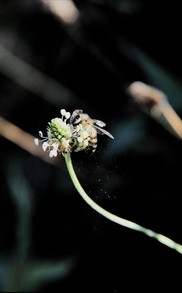 Photograph by Ирина Тихая