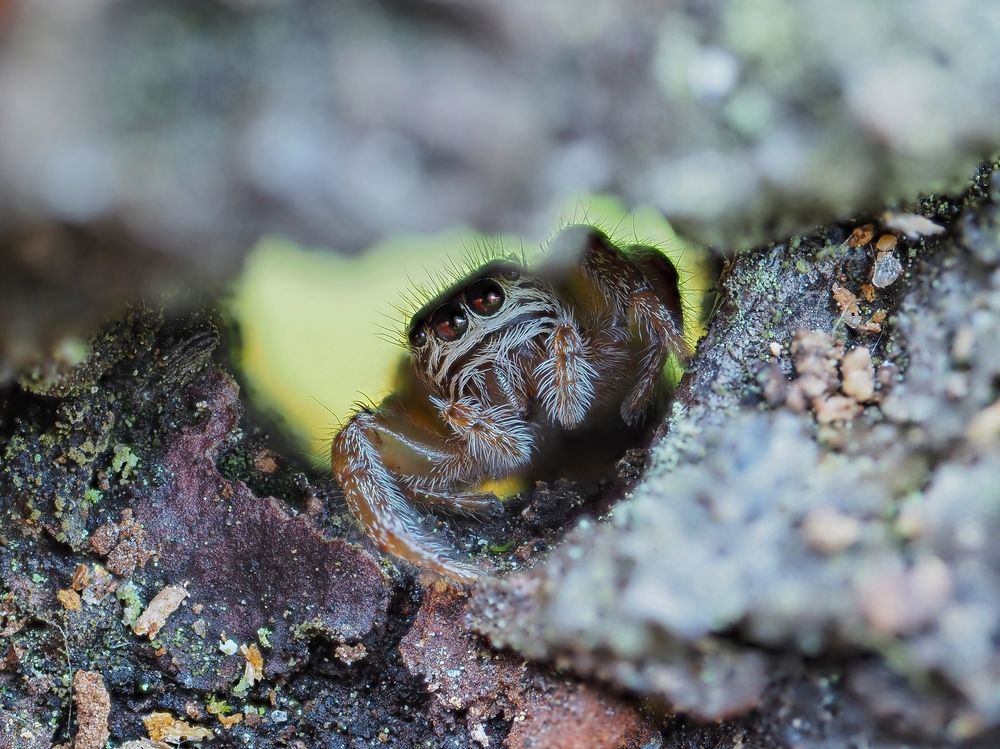 Photograph by Максим Кошелев