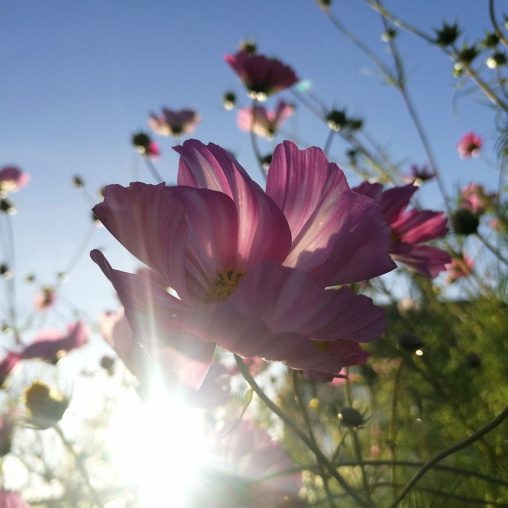 Photograph by Елена