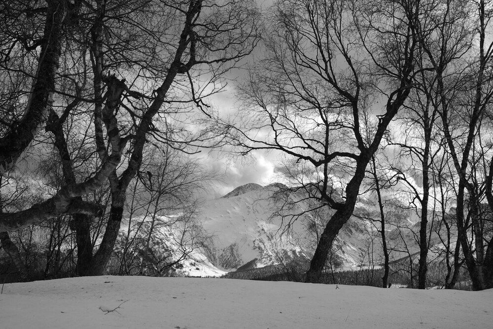 Photograph by Андрей Любимов