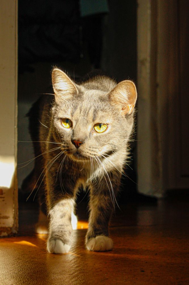 Обход владений