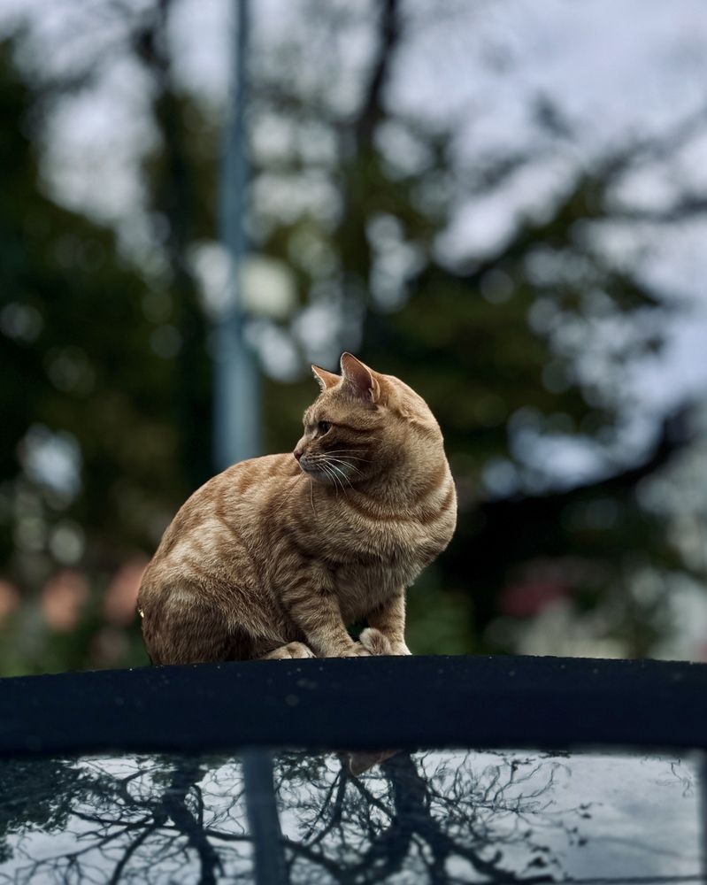 Photograph by Marina Odintsova