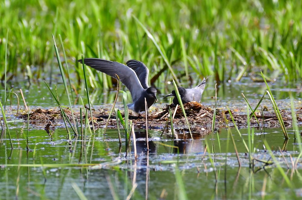 Photograph by Николай Абакумов