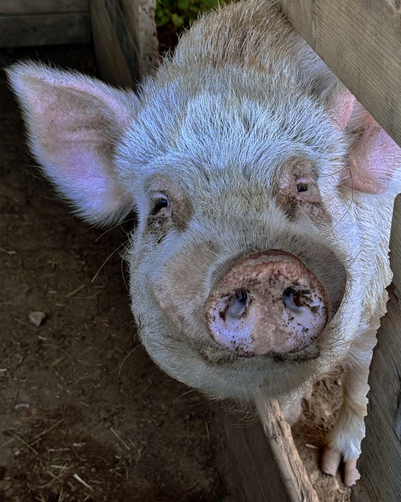 Photograph by Marina Odintsova