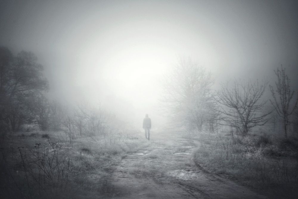 Заброшенный лес