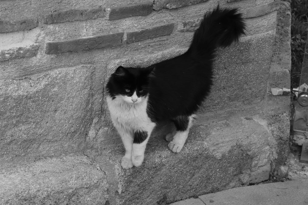 Photograph by Buket Demirel