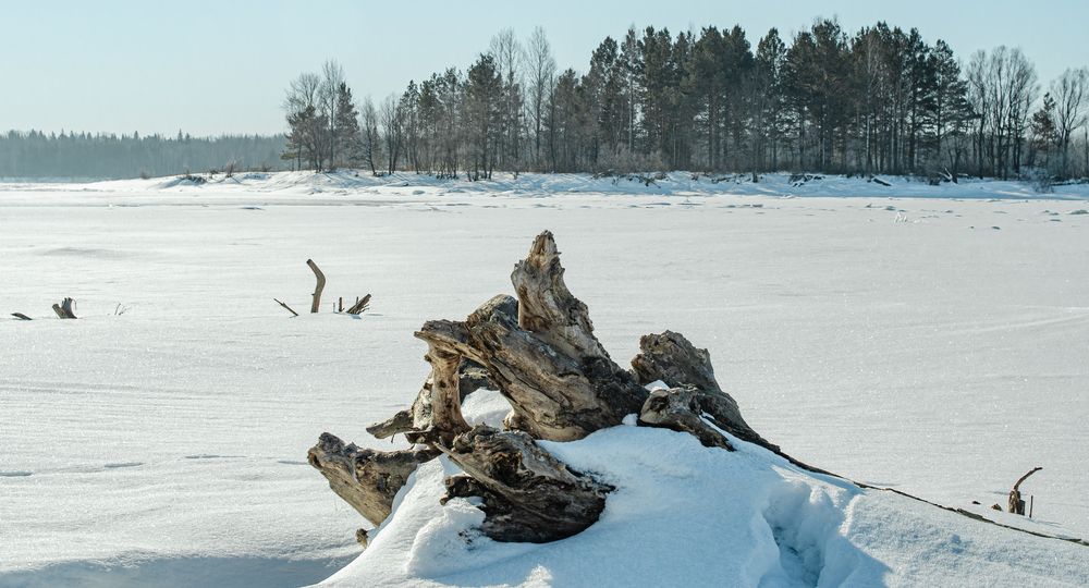 Photograph by Дмитрий Васильев