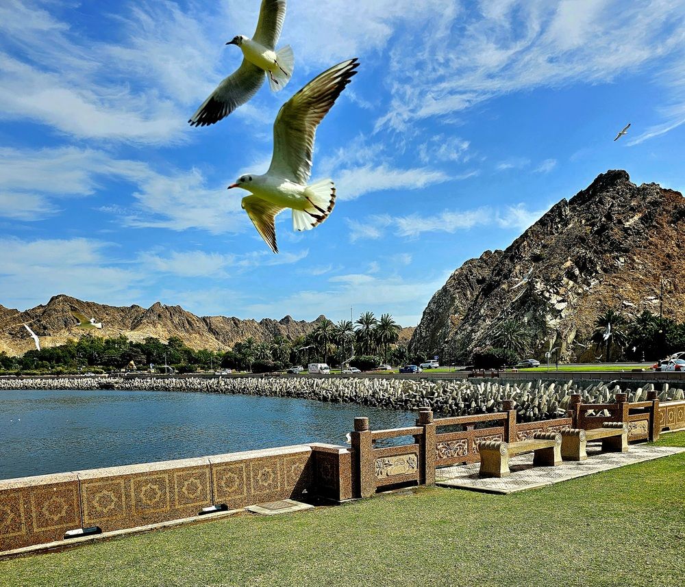 Фотография автора Debasis Moharana