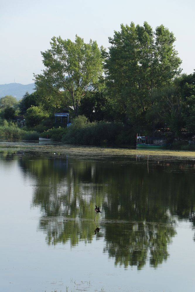 Photograph by Buket Demirel